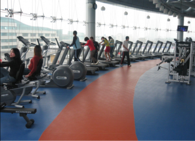 室內(nèi)健身(shēn)房(fáng)工(gōng)程案列