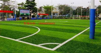 人(rén)造草(cǎo)工(gōng)程案列